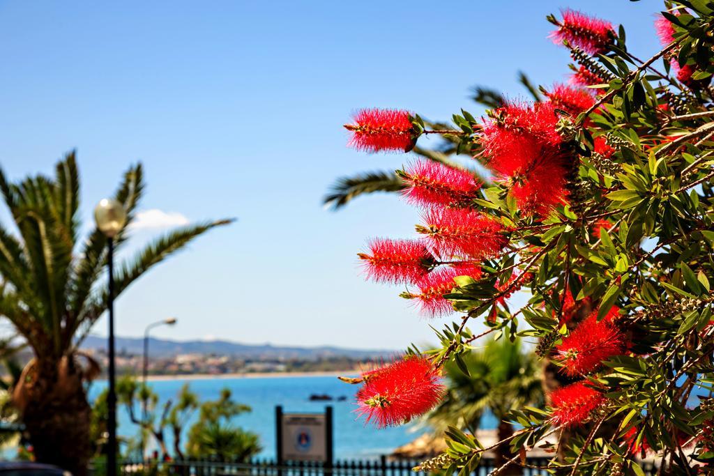 Stam'S Paradise Chania  Exteriér fotografie